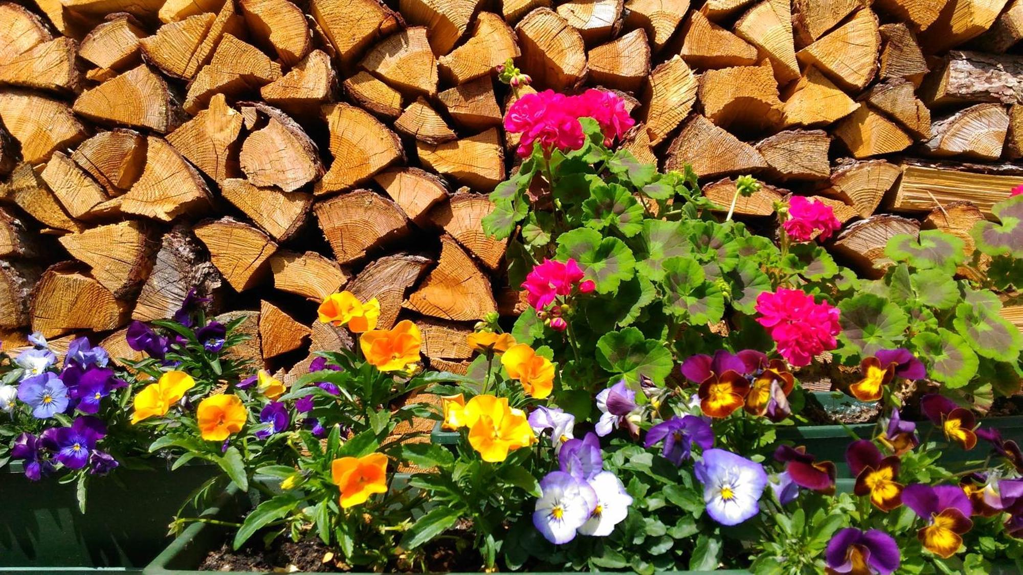 Bed & Breakfast Campaciol Livigno Esterno foto