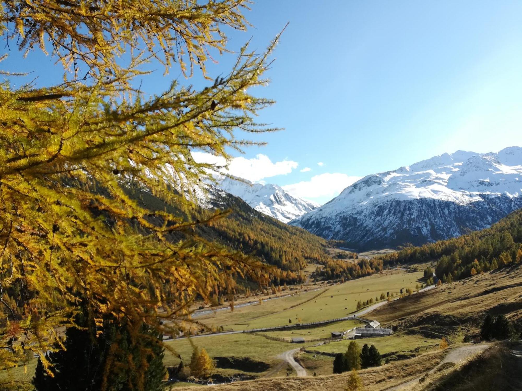 Bed & Breakfast Campaciol Livigno Esterno foto